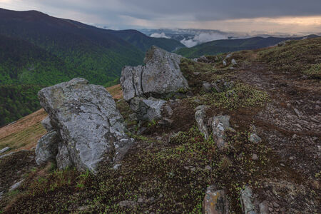 Carpathians mountain in summer timeの写真素材