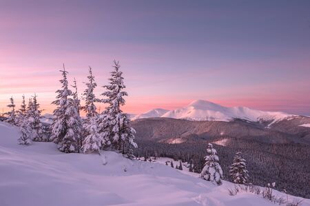 snovy trees on winter mountainsの写真素材