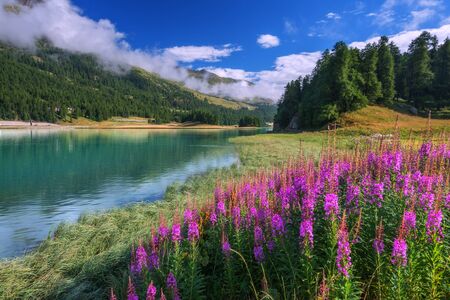 Amazing sunny day at Champferersee lake in the Swiss Alps. Silvaplana village, Switzerland, Europe.の写真素材