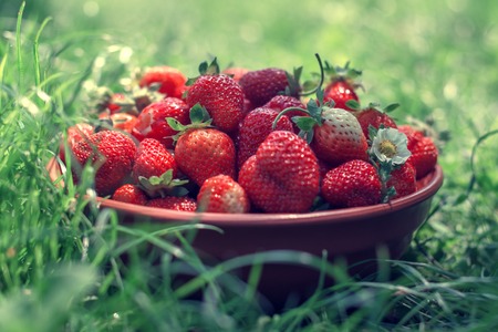strawberry in plate close upの写真素材
