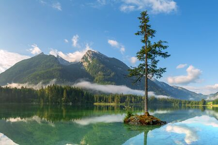 Amazing sunny summer day on the Hintersee lake in Austrian Alps, Europe.の写真素材