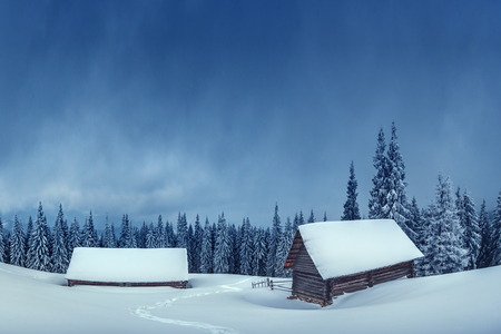 wooden house in winter forestの写真素材