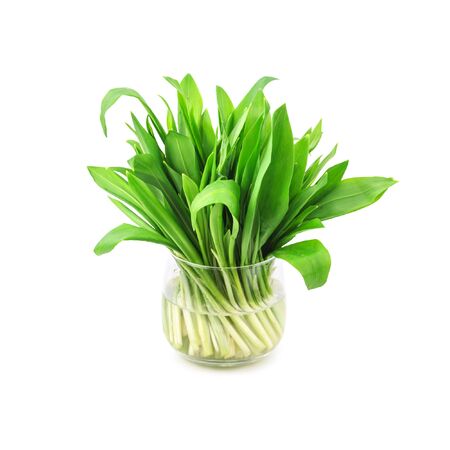 wild garlic isolated on whiteの写真素材