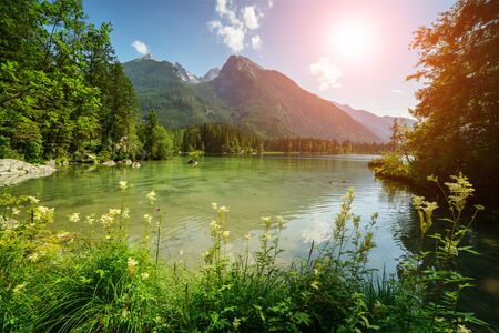 Amazing sunny summer day on the Hintersee lake in Austrian Alps, Europe.の写真素材