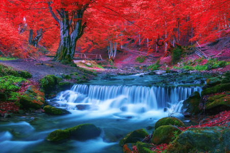 Beauty waterfall in autumn forestの写真素材