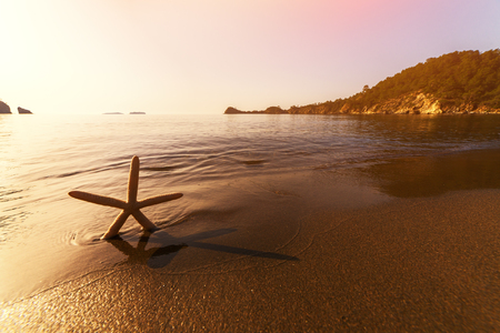 Starfish with Amazing Mediterranean seascape in Turkeyの写真素材