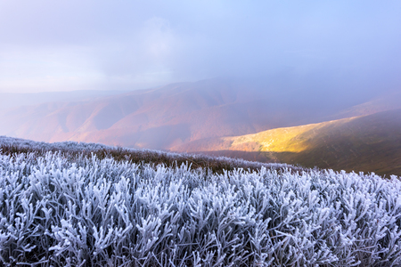 Fantastic autumn landscape with frostの写真素材