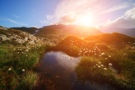 Amazing view of small lake near Totensee lake on the top of Grimselpass. Alps, Switzerland, Europe.の写真素材