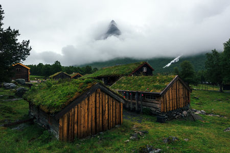 Norwegian grass roof old houseの写真素材