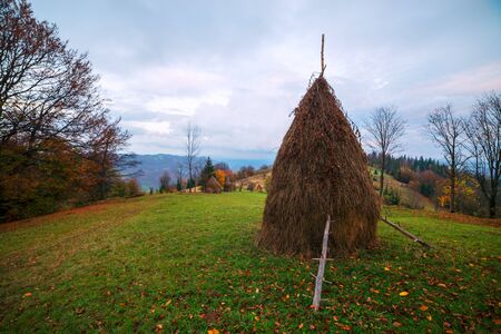 Amazing rural scene on autumn valleyの写真素材