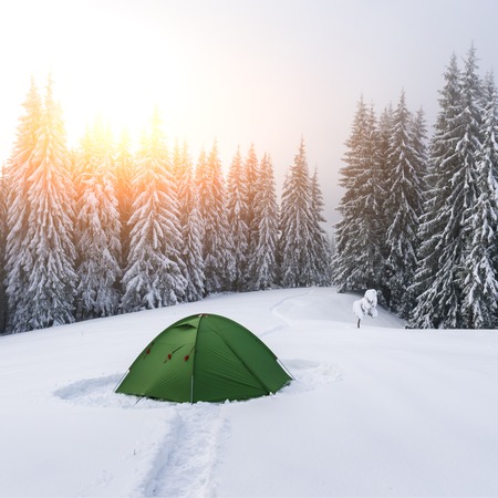 Green tent against the backdrop of snowy pine tree forest. Amazing winter landscape. Tourists camp in high mountains. Travel conceptの写真素材
