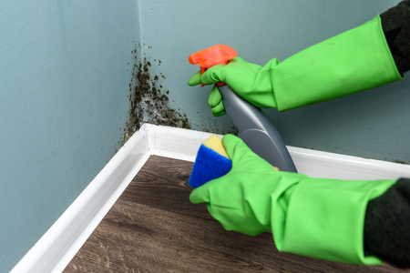 Spray bottle and sponge near black mould wall. House cleaning conceptの写真素材