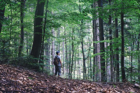 Alone man in wild forest. Travel and adventure concept. Mountains landscape photographyの写真素材