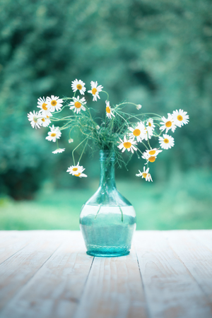 Chamomiles flower bouquet in glass vase on wooden table in green gardenの写真素材