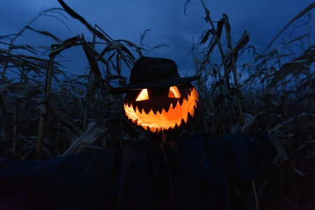 Scary pumpkin scarecrow in a hat on a cornfield in cloudy weather. Halloween holiday backgroundの写真素材