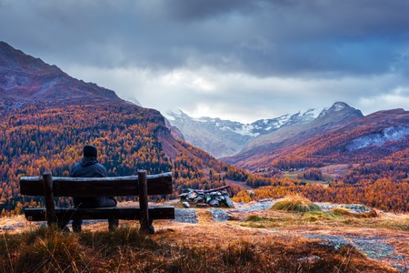 Aerial view on autumn lake Sils (Silsersee) in Swiss Alps. Colorful forest with orange larch and snowy mountains on background. Switzerland, Maloja region, Upper Engadine. Landscape photographyの写真素材