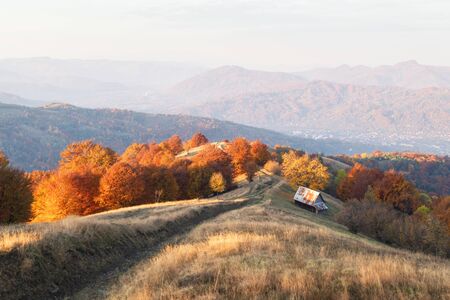 Picturesque autumn meadow with wooden house and red beech trees in the Carpathian mountains, Ukraine.の写真素材