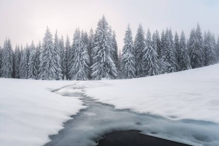 Fantastic winter landscape with frozen river and snowy trees in foggy mountains. Carpathian mountains, Ukraine, Europe. Christmas holiday conceptの写真素材