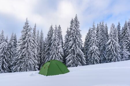 Green tent against the backdrop of foggy pine tree forest. Amazing snowy landscape. Tourists camp in winter mountains. Travel conceptの写真素材