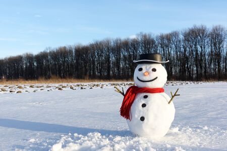Funny snowman in stylish black hat and red scalf on snowy field. Merry Christmass and happy New Year!の写真素材