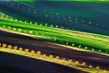 Green, brown and yellow waves of the agricultural fields of South Moravia, Czech Republic. Rural...