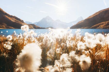 Picturesque view on Bachalpsee lake in Swiss Alps mountains. Grindelwald valley, Switzerland. Landscape photographyの写真素材