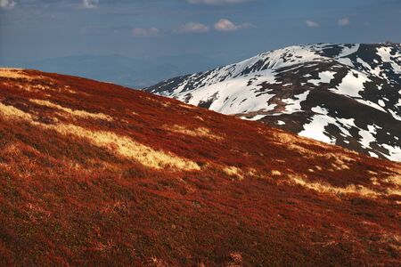 View of the spring hills with orange grass and snowy mountains on background. Landscape photography