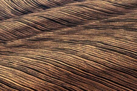 Abstract landscape with plowed land waves. South Moravia region, Czech Republicの写真素材