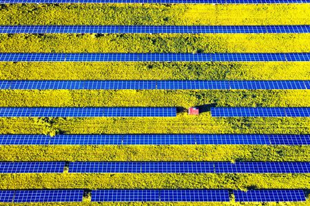 Solar panel from above. Aerial drone photo looking down on rows of blue solar panels in a renewable energy farmの写真素材