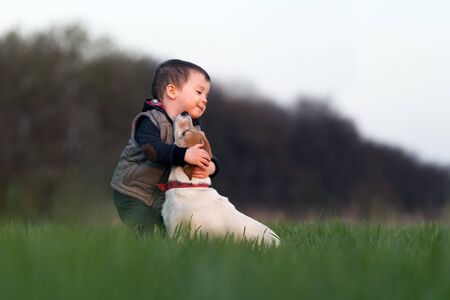 Small kid in yellow jacket with jack russel terrier puppy embrace one another on spring field on sunset timeの写真素材