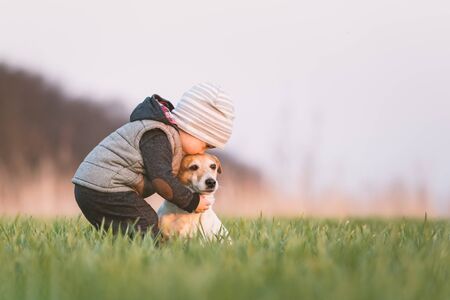 Small kid in yellow jacket with jack russel terrier puppy embrace one another on spring field on sunset timeの写真素材