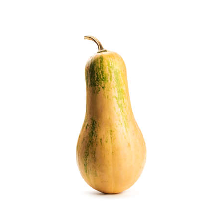 Yellow pumpkin on white background isolated. Food photographyの写真素材
