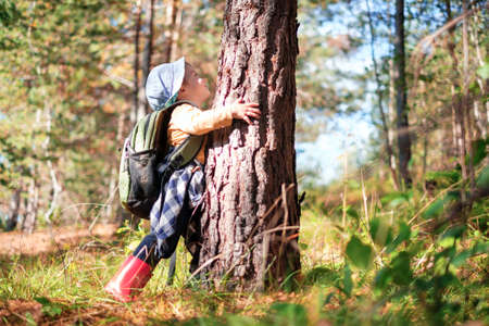 Small kid in yellow sweater hugs a pine tree in autumn forest. Childhood with nature loving concept