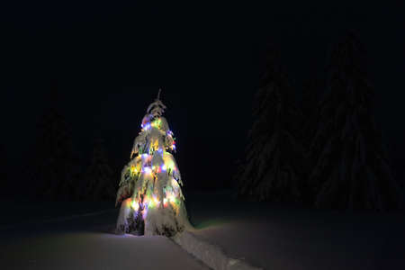 Holiday landscape with Christmas tree, snow and lights in winter mountains. New year celebration conceptの写真素材