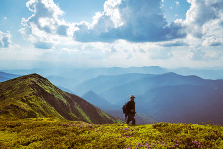 Photographer taking photo of rhododendron flowers covered mountains meadow in summer time. Landscape photographyの写真素材
