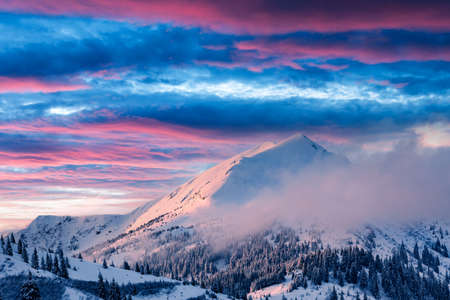 Fantastic winter landscape in snowy mountains glowing by morning sunlight. Dramatic wintry scene with frozen snowy trees at sunrise. Christmas holiday backgroundの写真素材