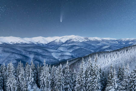 Fantastic winter landscape glowing by star light. Dramatic wintry scene with snowy trees and comet...