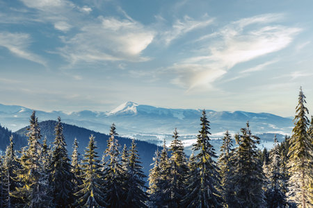 Fantastic winter landscape with snowy trees. Carpathian mountains, Ukraine, Europe. Christmas...