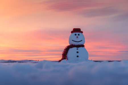 Funny snowman in stylish red hat and red scalf on snowy field during sunset. Merry Christmass and happy New Yearの写真素材