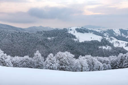 Amazing view of mountains range and snow-capped peaks in winter time. Forest with frost glowing with bright warm sunrise lightの写真素材