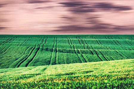 Abstract rural landscape with agricultural fieldsの写真素材