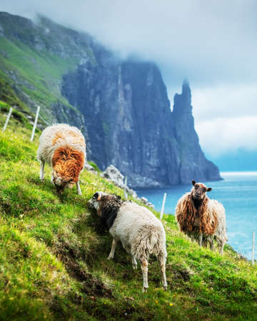 Gorgeous faroese landscape with famous Witches Finger cliffsの写真素材