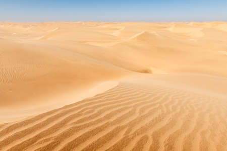 Orange sand dunes and clear sky in Namib desertの写真素材