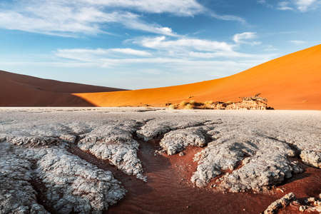 Dried ground with sand in Namib desert during sunsetの写真素材