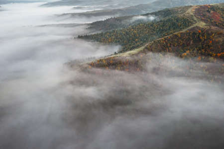 Amazing flowing morning fog in autumn mountainsの写真素材