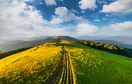 Amazing scene on summer mountainsの写真素材