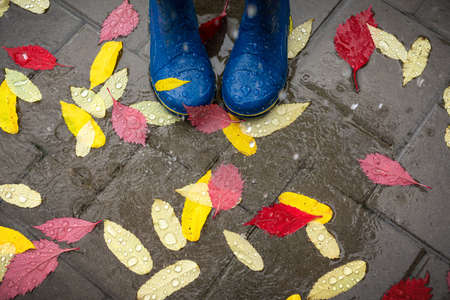 Feet in blue rubber boots standing in a wet concrete pavingの写真素材
