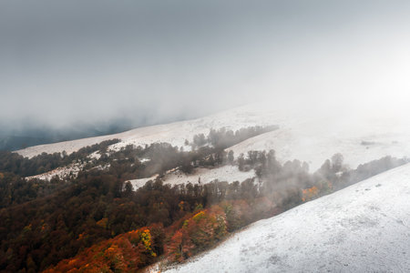 Amazing scene on autumn mountainsの写真素材