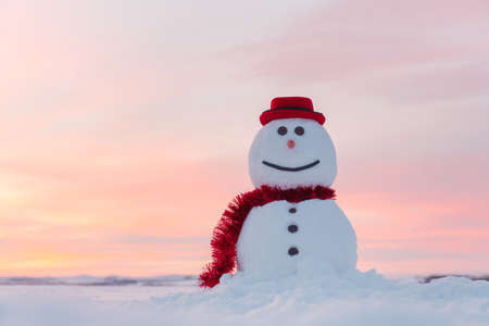 Funny snowman in black hatの写真素材
