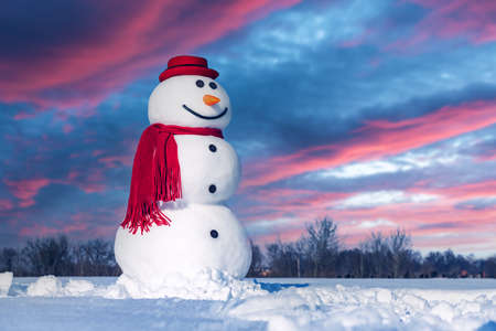 Funny snowman in black hatの写真素材